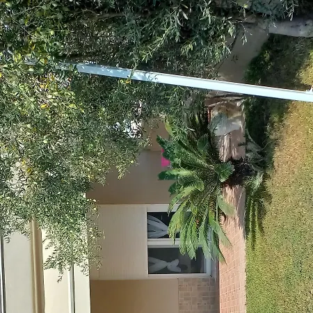 Palm Garden * Nikiti (Sithonia)