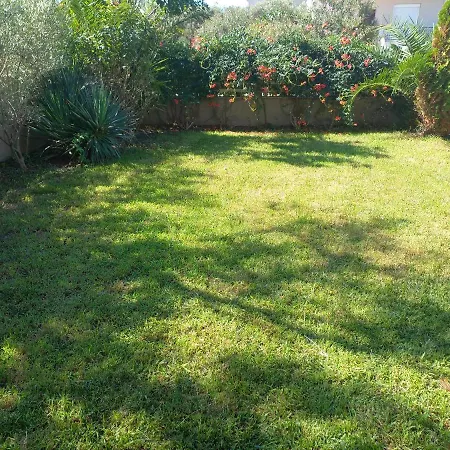 Apartment Palm Garden