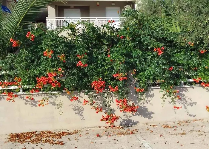 Palm Garden Nikiti (Sithonia)