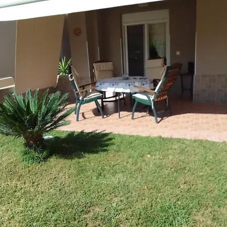 Palm Garden * نيكيتي