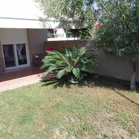 Palm Garden شقة *