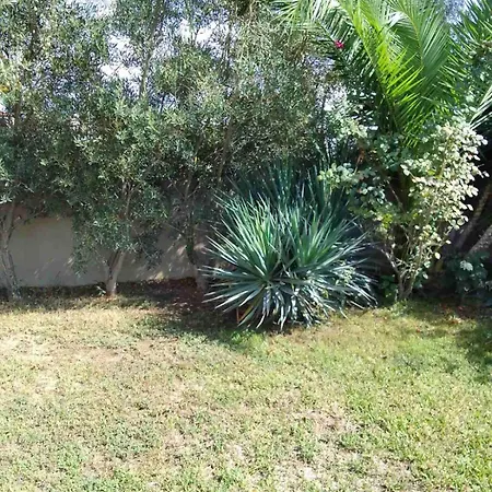 شقة Palm Garden نيكيتي