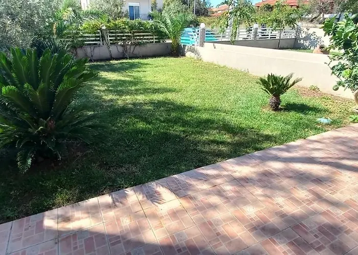 Palm Garden * 니키티