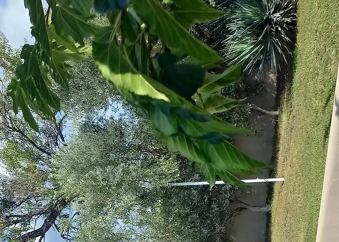아파트 Palm Garden 니키티