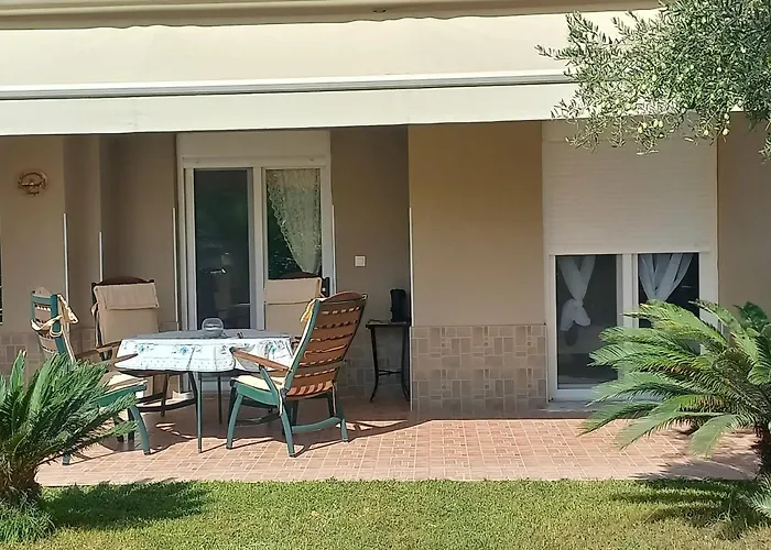 Palm Garden 니키티