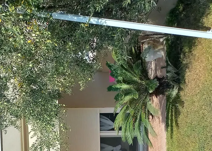 Palm Garden * 니키티