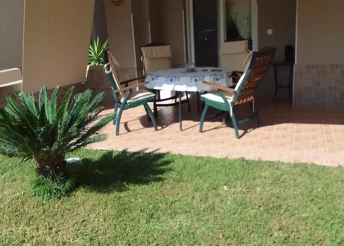 Palm Garden * 니키티
