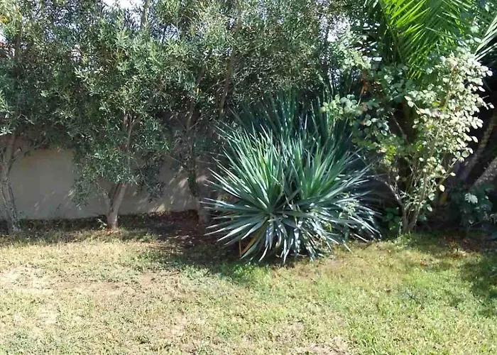 아파트 Palm Garden 니키티